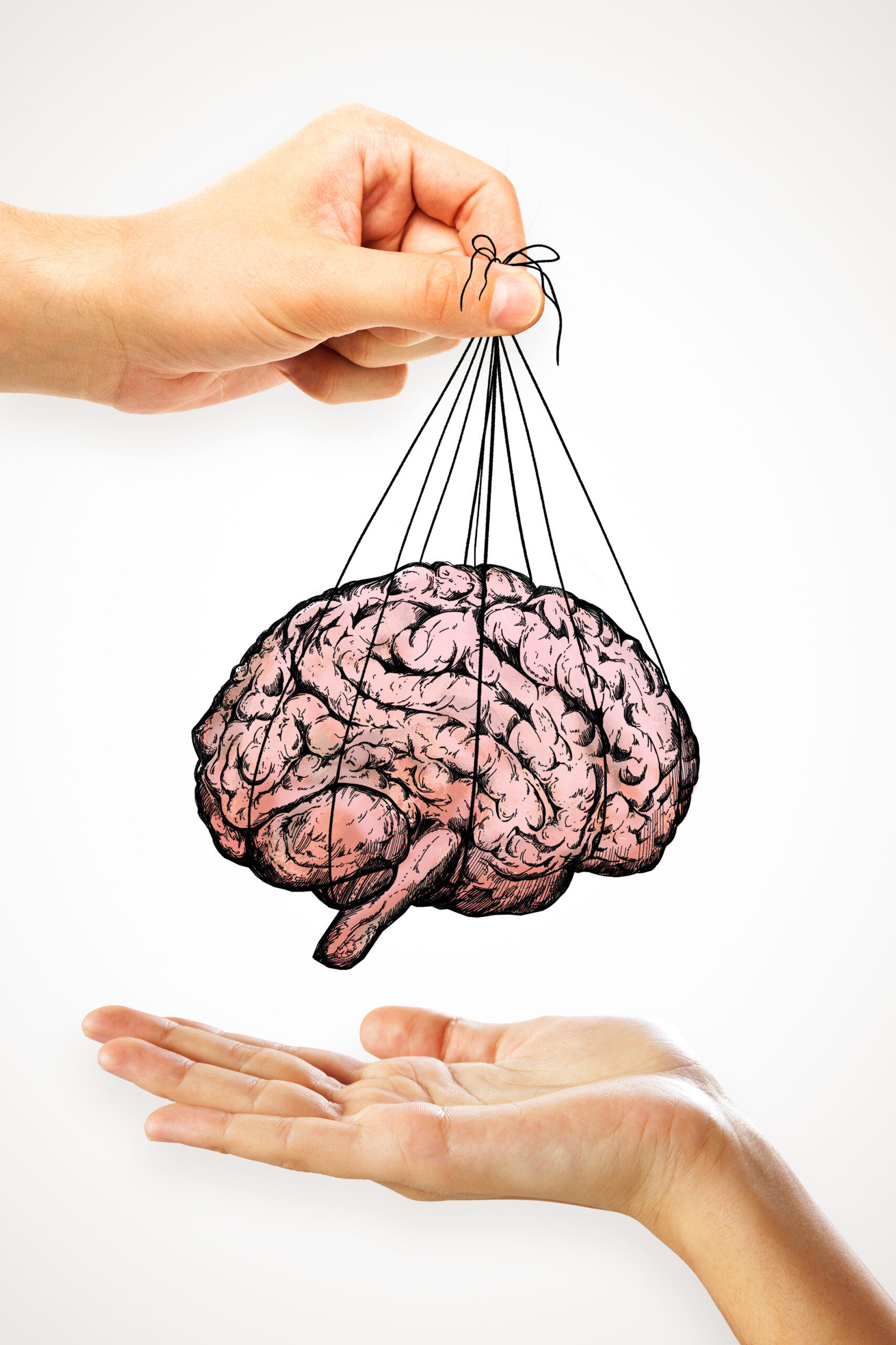 hands-manipulating-and-offering-a-stylized-brain-i-2026-09-24-21-00-17-utc